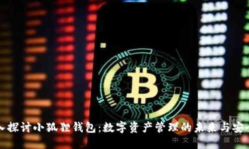 深入探讨小狐狸钱包：数字资产管理的未来与安全性