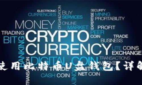 苹果电脑如何使用比特币U盘钱包？详解设置与安全性