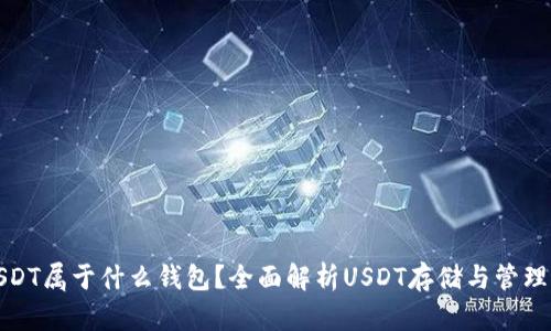 : USDT属于什么钱包？全面解析USDT存储与管理方式