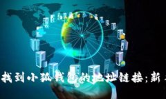  如何轻松找到小狐钱包的地址链接：新手必备指