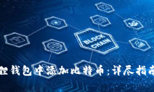 如何在小狐狸钱包中添加比特币:详尽指南与常见问题