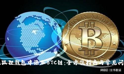 如何在狐狸钱包中添加BTC链：全方位指南与常见问题解答