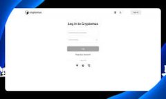 如何应对小狐狸钱包私钥丢失？详尽指