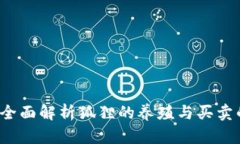 买狐狸是否合法？全面解析狐狸的养殖与买卖的