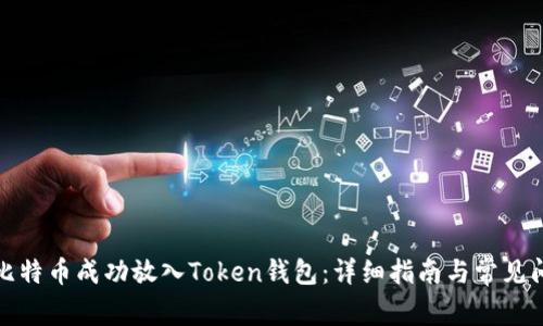 如何将比特币成功放入Token钱包:详细指南与常见问题解答