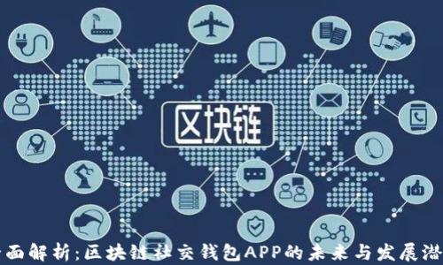 
全面解析：区块链社交钱包APP的未来与发展潜力