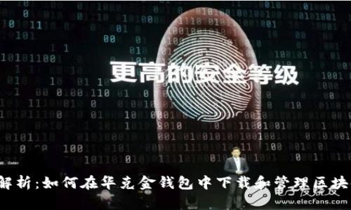  全面解析：如何在华克金钱包中下载和管理区块链资产