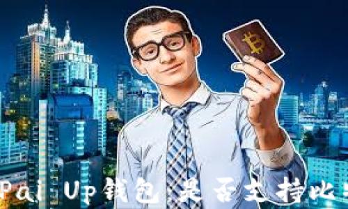 
全面解析Pai Up钱包：是否支持比特币存储？
