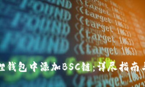 如何在狐狸钱包中添加BSC链：详尽指南与实用技巧