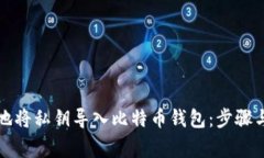 如何安全地将私钥导入比特币钱包：步