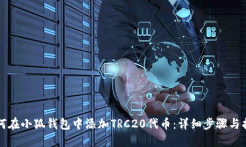 如何在小狐钱包中添加TRC20代币：详细步骤与指南