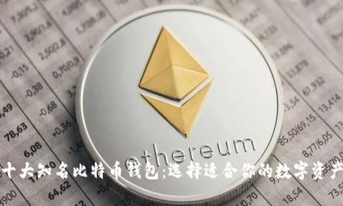 全面解析十大知名比特币钱包：选择适合你的数字资产保管方式