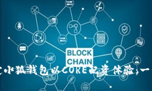如何高效绑定小狐钱包以CORE配资体验：一步步详细教程