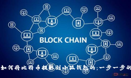 中本聪是如何将比特币提取到小狐钱包的：一步一步的详细指南