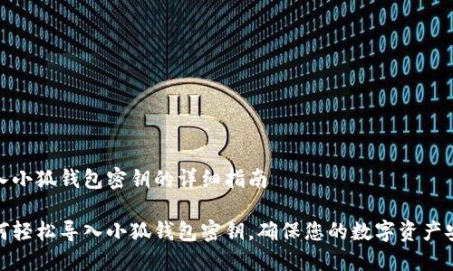 导入小狐钱包密钥的详细指南

如何轻松导入小狐钱包密钥，确保您的数字资产安全