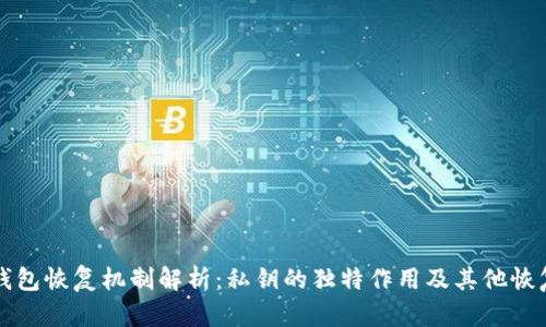 小狐钱包恢复机制解析：私钥的独特作用及其他恢复方式