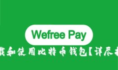 如何安全地下载和使用比特币钱包？详尽指南与