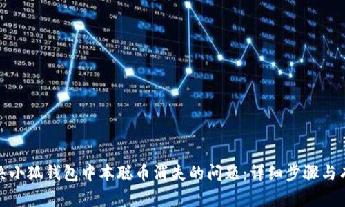 如何解决小狐钱包中本聪币消失的问题：详细步骤与有效建议