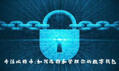专注比特币：如何选择和管理你的数字钱包