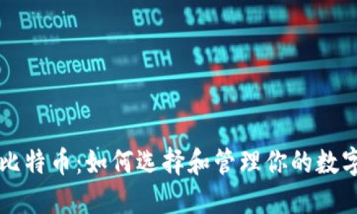 专注比特币：如何选择和管理你的数字钱包
