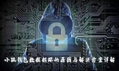 小狐钱包数据损坏的原因与解决方案详