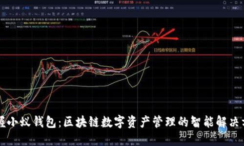 掌握小蚁钱包：区块链数字资产管理的智能解决方案
