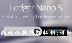 如何快速恢复丢失的小狐钱包私钥：详细步骤与