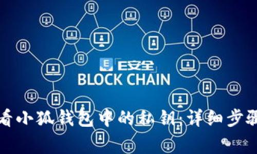 如何安全查看小狐钱包中的私钥：详细步骤与注意事项