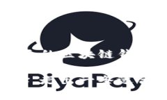 baioti深度解析美国区块链钱包：未来数字资产管