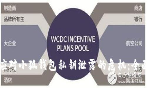 如何应对小狐钱包私钥泄露的危机：全面指南