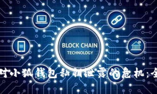 如何应对小狐钱包私钥泄露的危机：全面指南