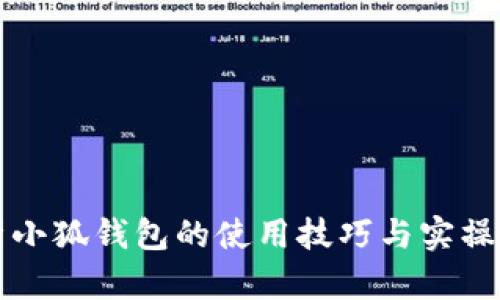 全面解析小狐钱包的使用技巧与实操视频指南