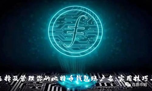 如何选择及管理你的比特币钱包账户名：实用技巧与建议