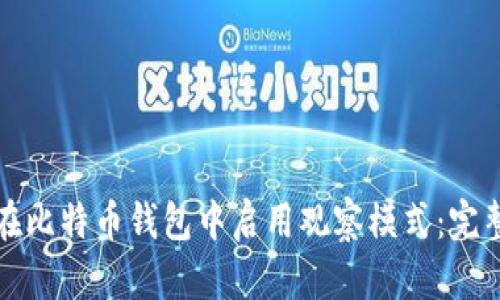 如何在比特币钱包中启用观察模式：完整指南