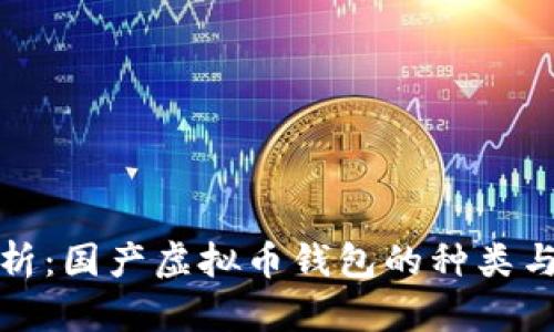 全面解析：国产虚拟币钱包的种类与安全性