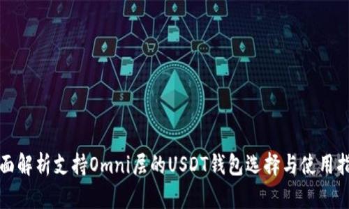 全面解析支持Omni层的USDT钱包选择与使用指南