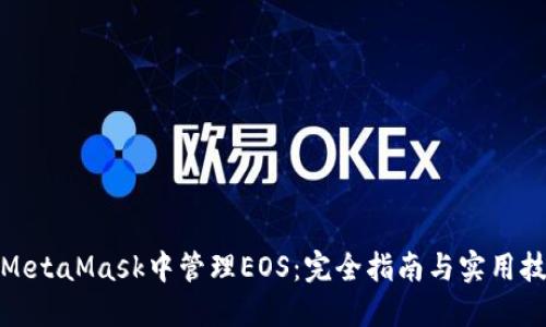 在MetaMask中管理EOS：完全指南与实用技巧