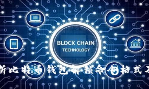 全面解析比特币钱包解锁命令格式及其应用