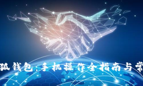 轻松导入小狐钱包：手机操作全指南与常见问题解答