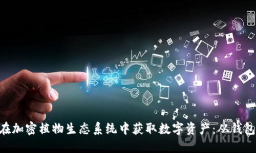 如何利用MetaMask在加密植物生态系统中获取数字资产：从钱包设置到实际操作详解