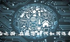 小狐钱包使用体验之困：在数字时代如何选择合