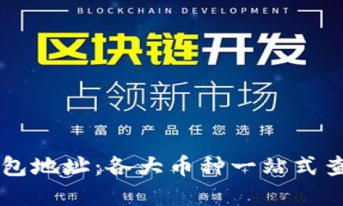 掌握虚拟币钱包地址：各大币种一站式查询与使用指南