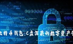 寻找比特币钱包：C盘深藏的数字资产