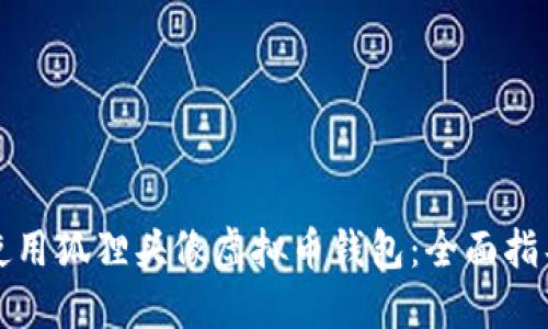 如何选择和使用狐狸头像虚拟币钱包：全面指导与实用技巧