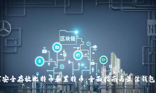 如何安全存放比特币和莱特币：全面指南与最佳钱包推荐