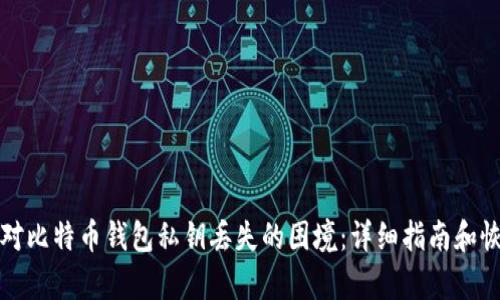 如何应对比特币钱包私钥丢失的困境：详细指南和恢复方法