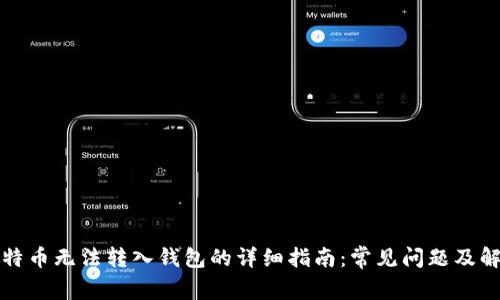 解决比特币无法转入钱包的详细指南：常见问题及解决方案