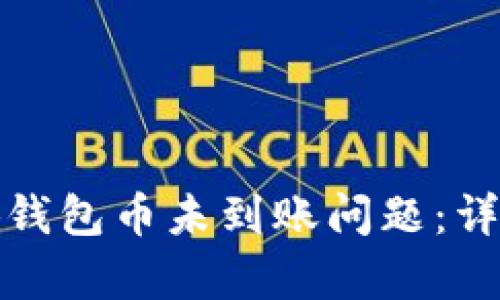 如何有效解决小狐钱包币未到账问题：详细步骤与实用建议