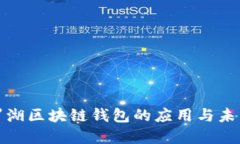 探索罗湖区块链钱包的应用与未来发展