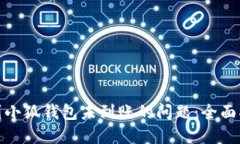 如何解决提现到小狐钱包未到账的问题